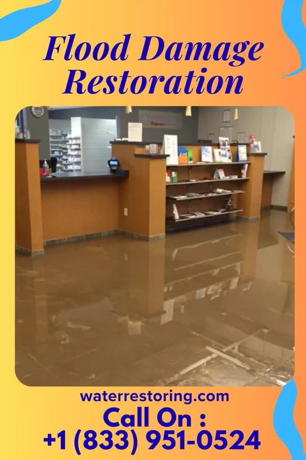 Flood Damage Restoration in Pulaski, IA