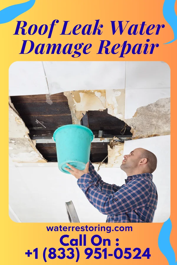 Roof Leak Water Damage Repair in Pulaski, IA