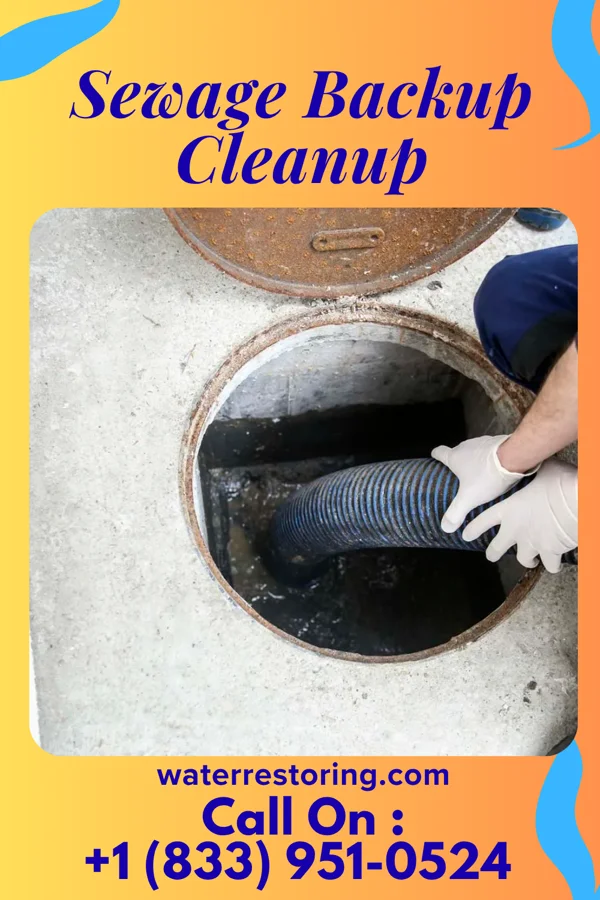 Sewage Backup Cleanup in Pulaski, IA